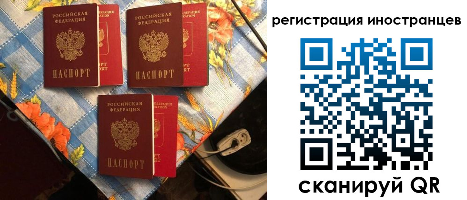прописка поиск в Пионерском
